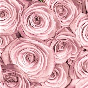 Meet your Posher, Lana